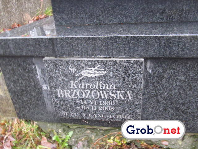 Karolina Brzozowska 1930 Nowy Sącz - Grobonet - Wyszukiwarka osób pochowanych
