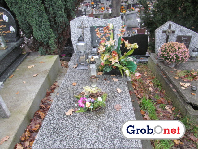 Grób Ludwik Leśko