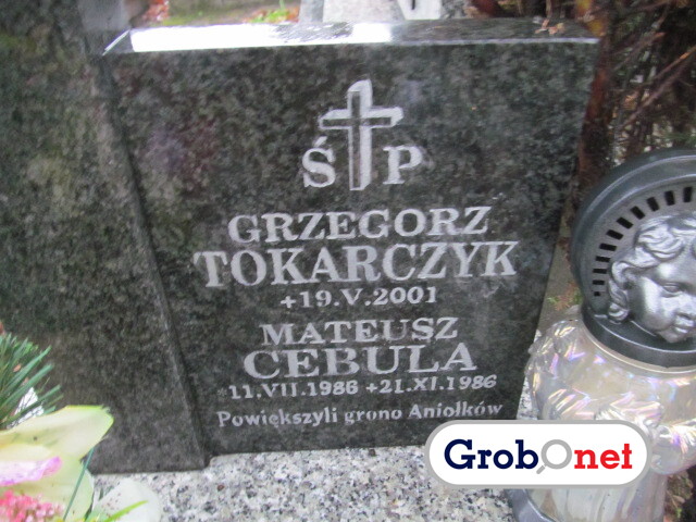 Mateusz Cebula 1986 Nowy Sącz - Grobonet - Wyszukiwarka osób pochowanych