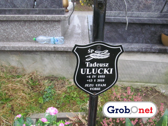 Tadeusz Ulucki 1955 Nowy Sącz - Grobonet - Wyszukiwarka osób pochowanych
