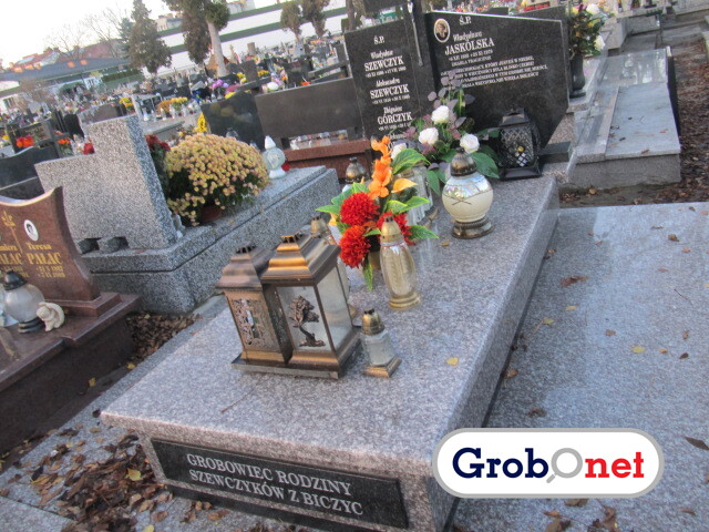 Grób Aleksandra Górczyk