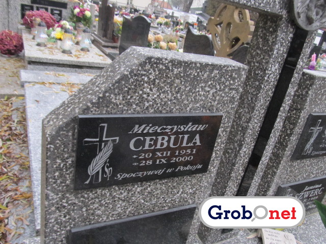 Mieczysław Cebula 1951 Nowy Sącz - Grobonet - Wyszukiwarka osób pochowanych